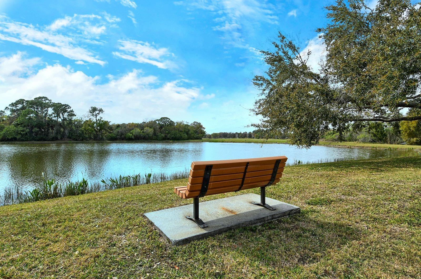 LAKEWOOD RANCH COUNTRY CLUB VILLAGE C 3 - Residential