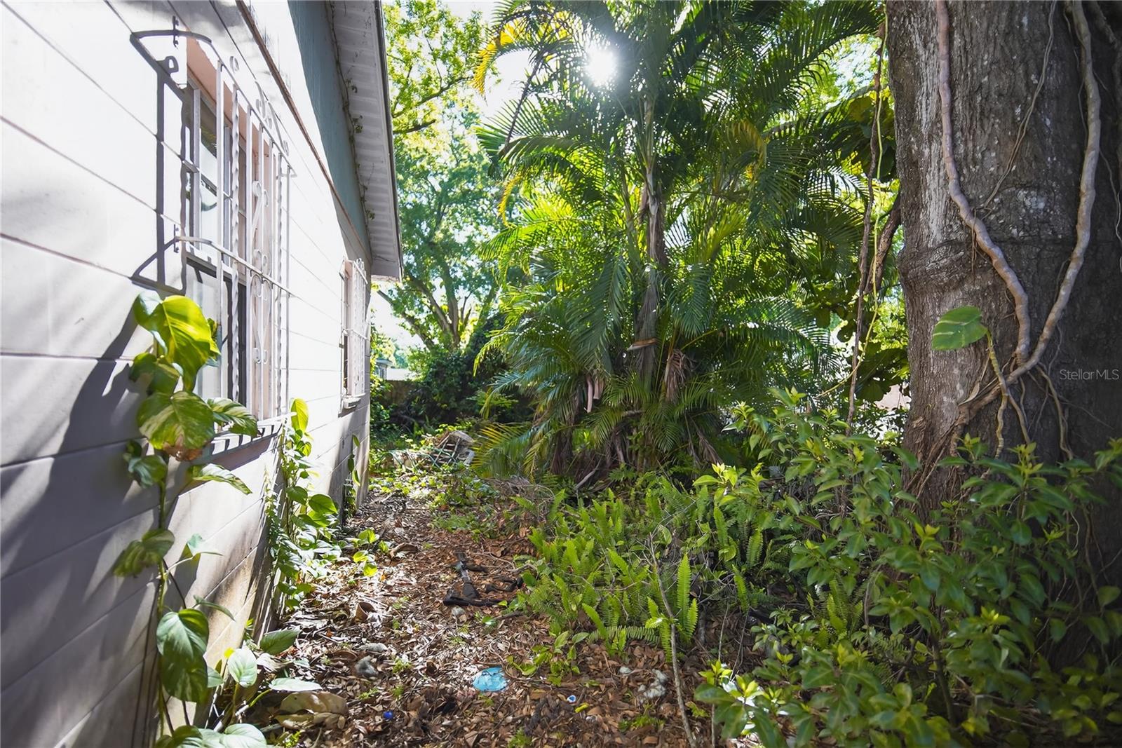 RIO VISTA - Residential