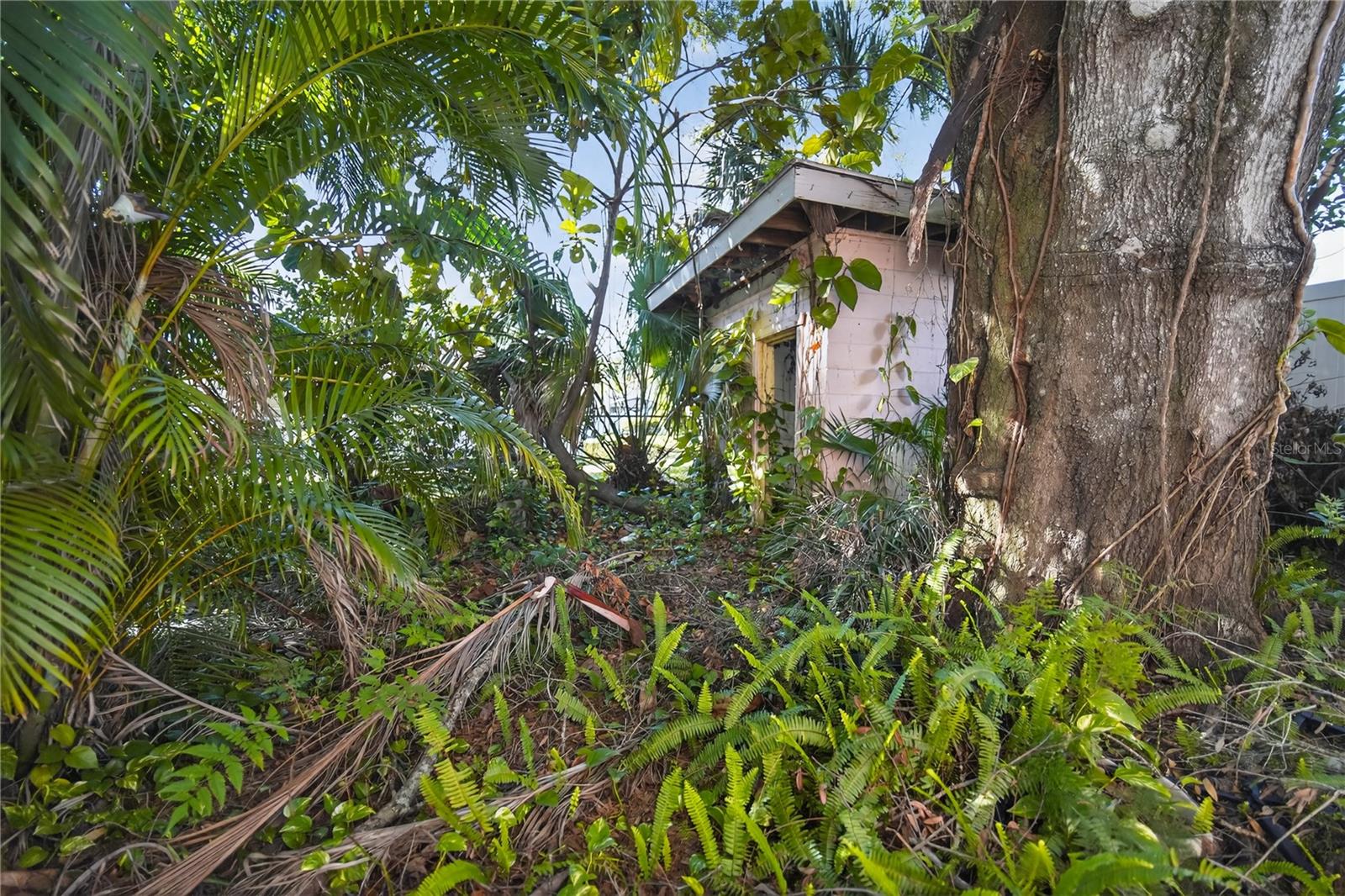 RIO VISTA - Residential