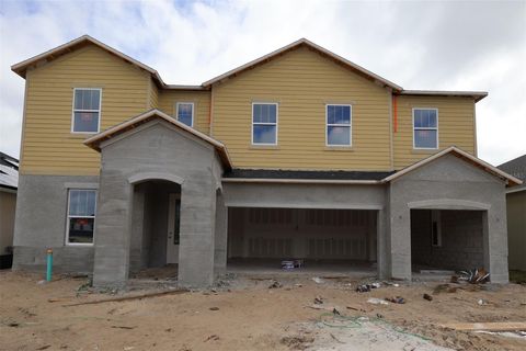 Photo of 413 Lady Palm Street, Apopka, FL 32703 (MLS # O6342842)