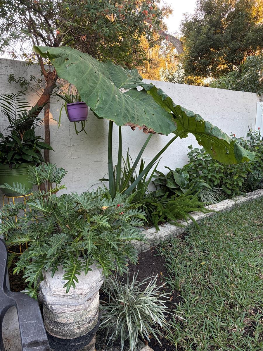 WALDEN LAKE UNIT 12 - Residential