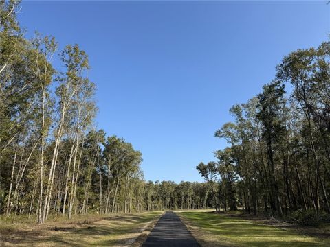 Irvine Acres #3 (10ac) W HWY 318 REDDICK FL 32686