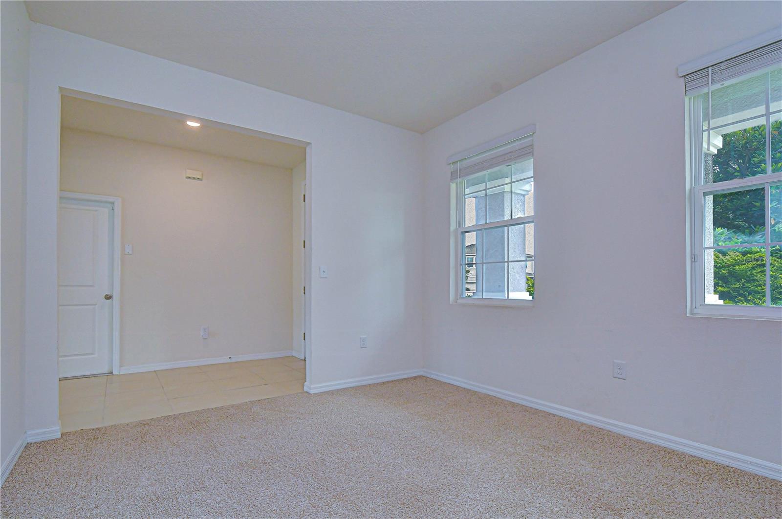 16607 GOOSE RIBBON PLACE