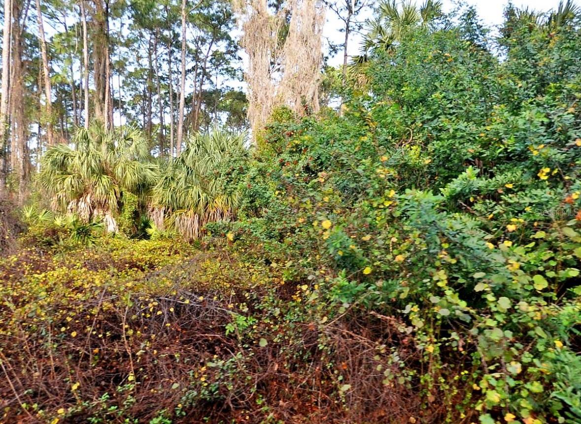 Come build your dream home in desirable North Port! Daphne is a very nice street with newer homes and a lot of privacy. Easy access to I75. Not far from the most beautiful beaches in SWFL, dining, shopping and golf courses galore! In fact there is a golf course just a few minutes away. Come enjoy the Florida lifestyle! ***ADJACENT LOT AVAILABLE***MLS#D6139656***