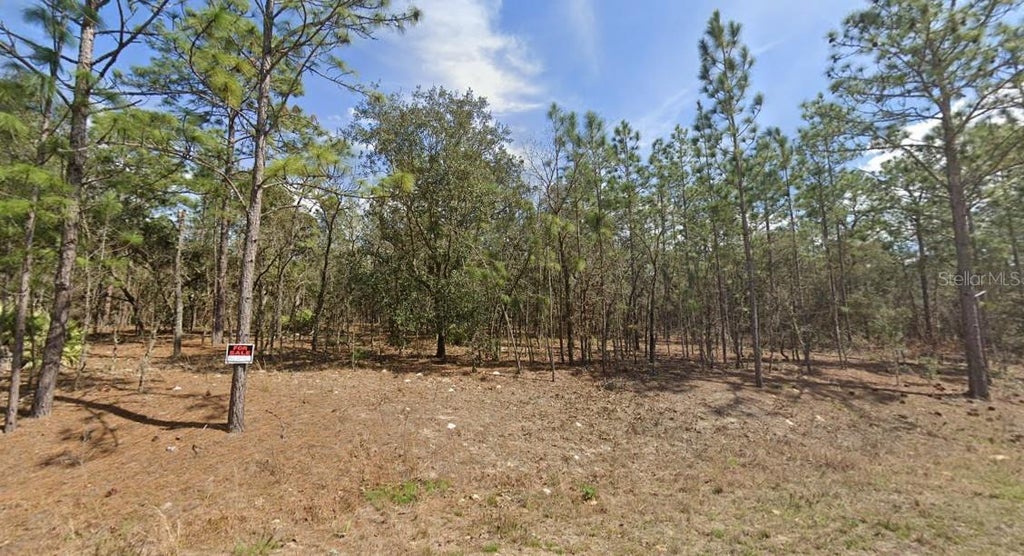 Photo of 138th Terrace SW, Ocala, FL 34473 (MLS # OM734312)