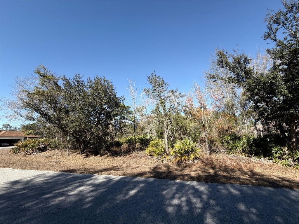 Photo of 0 Frigate Bird Avenue, Weeki Wachee, FL 34613 (MLS # W7882598)
