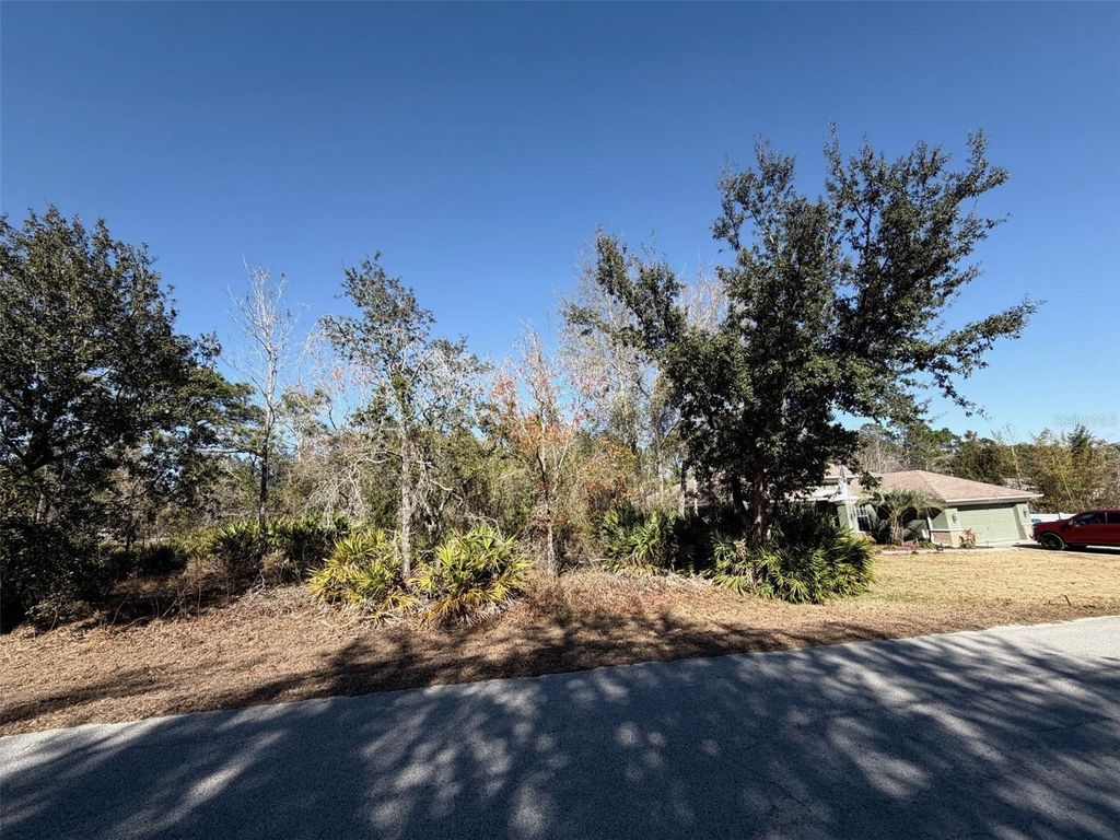 Photo of 0 Frigate Bird Avenue, Weeki Wachee, FL 34613 (MLS # W7882598)