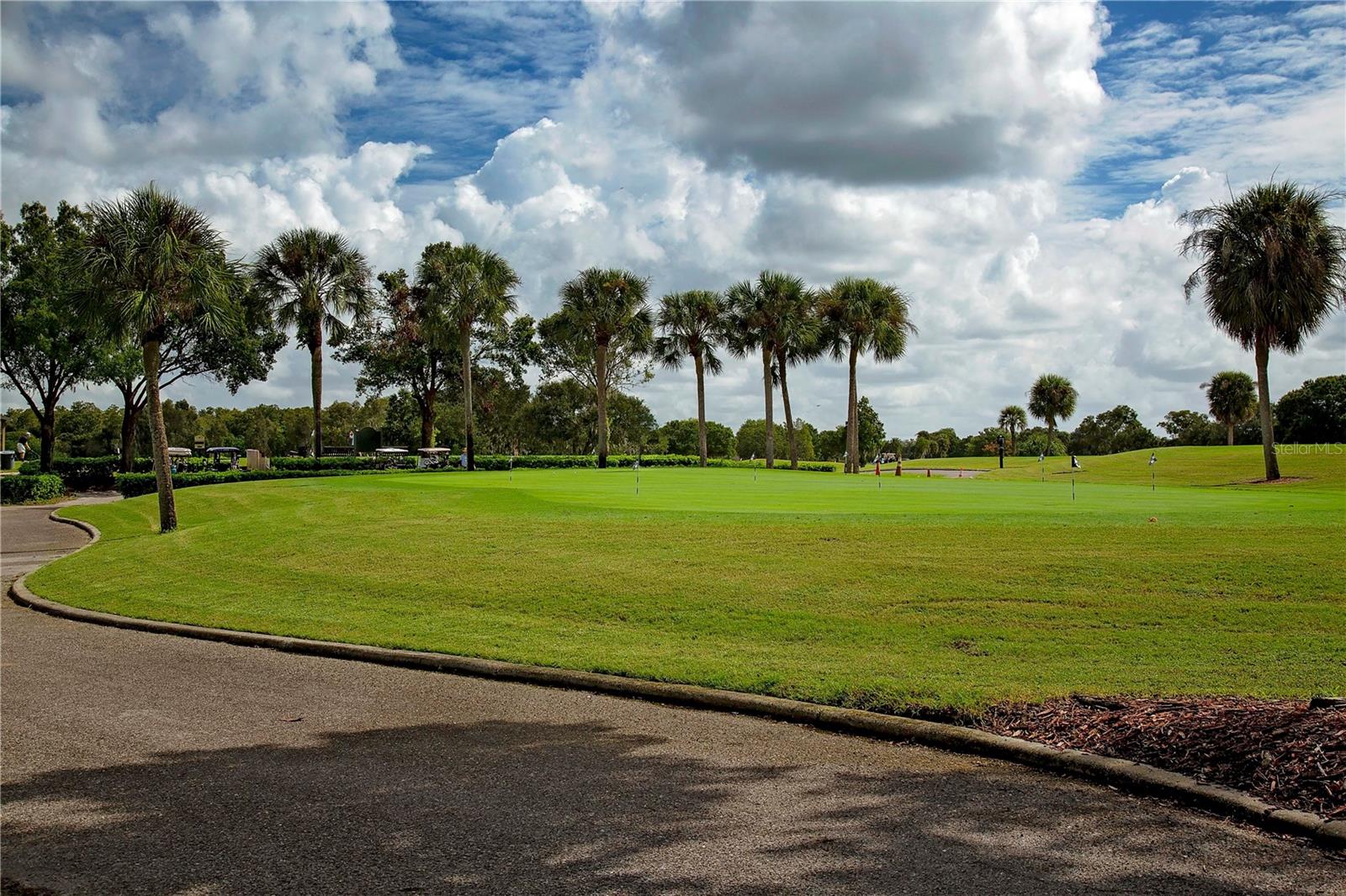 SUN CITY CENTER UNIT 259 - Residential