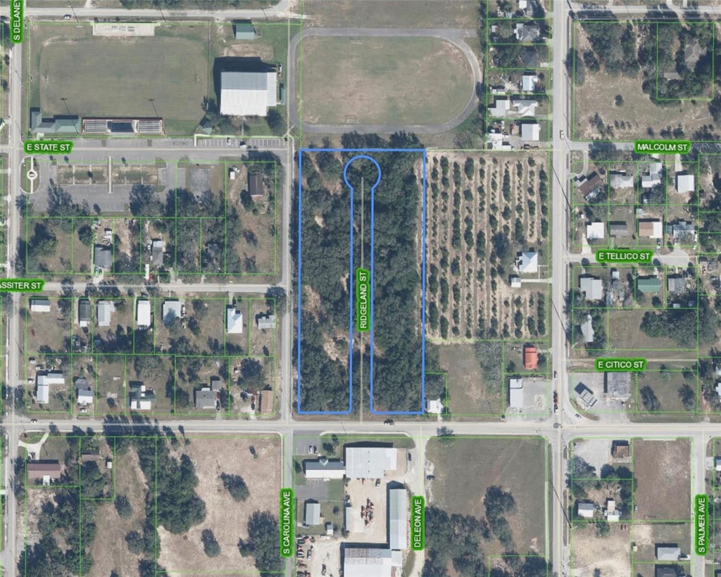 Photo of 301 E Cornell Street, Avon Park, FL 33825 (MLS # L4964196)
