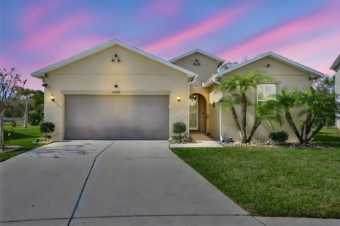 Photo of 10567 Laguna Plains Drive, Riverview, FL 33578 (MLS # TB8485346)