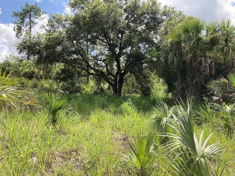 Photo of 4421 24th Avenue SE, Naples, FL 34117 (MLS # O6421695)