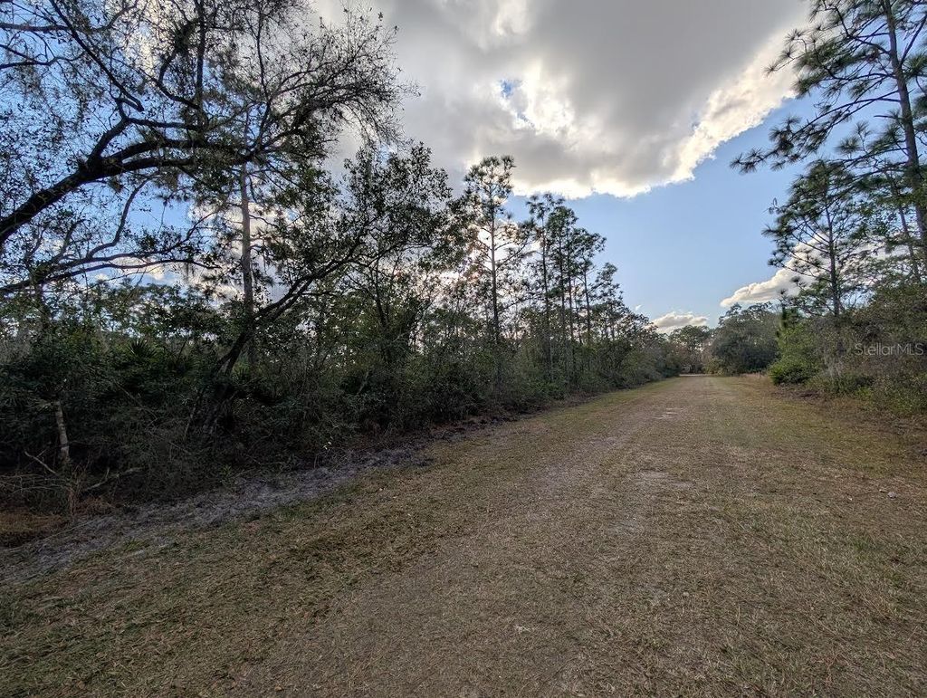 Photo of 1005 Bougainville Drive, Indian Lake Estates, FL 33855 (MLS # P4937637)