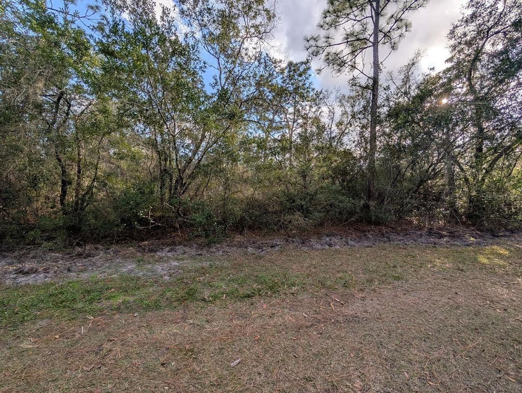 Photo of 1005 Bougainville Drive, Indian Lake Estates, FL 33855 (MLS # P4937637)