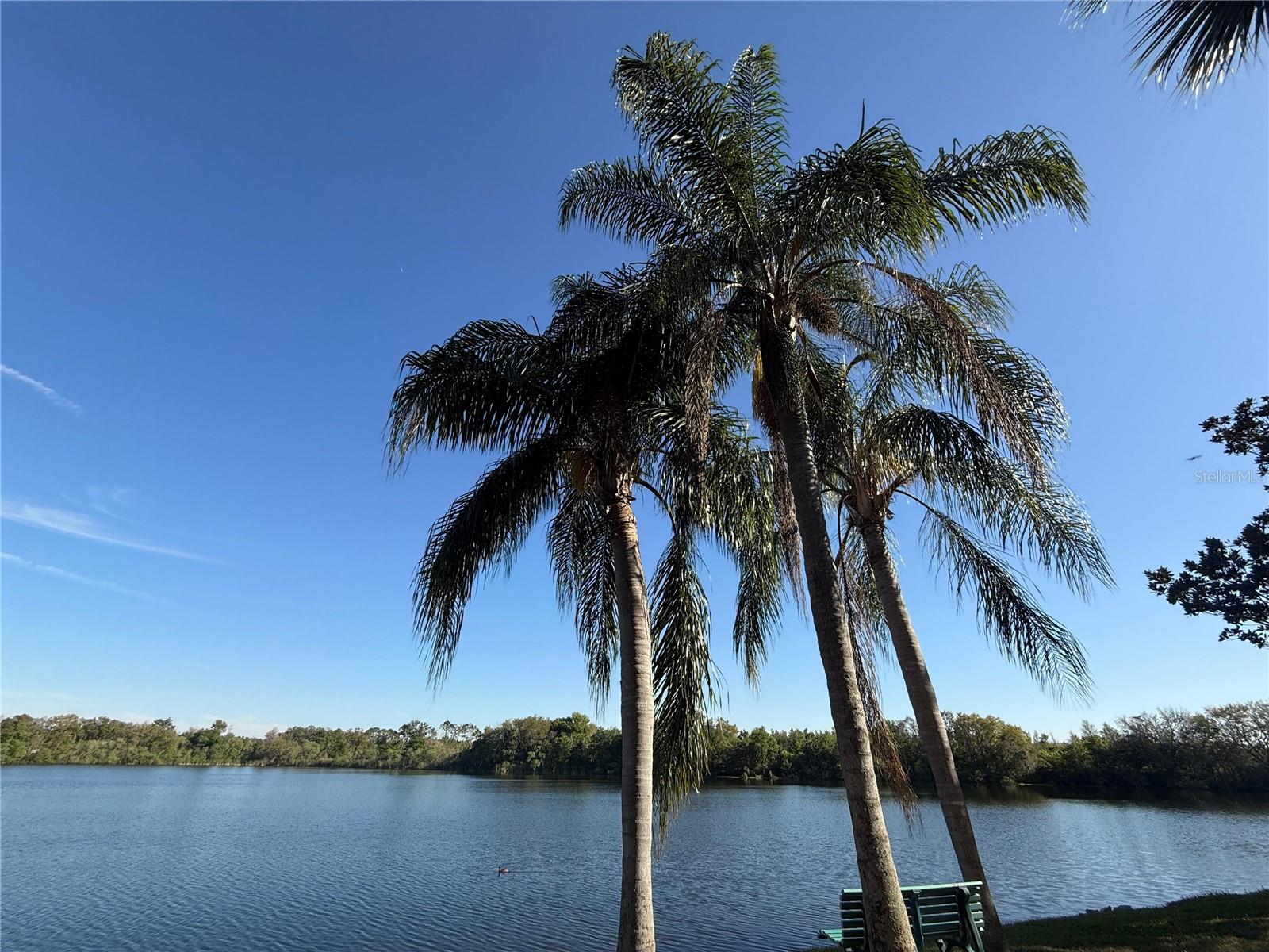BLDG 11 UNIT 213 VILLAS AT LAKESIDE A CONDOMINIUM - Residential