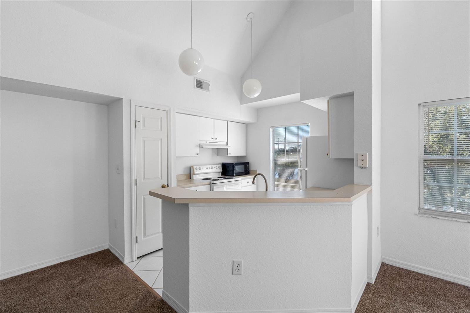 LAKE CHASE CONDO - Residential