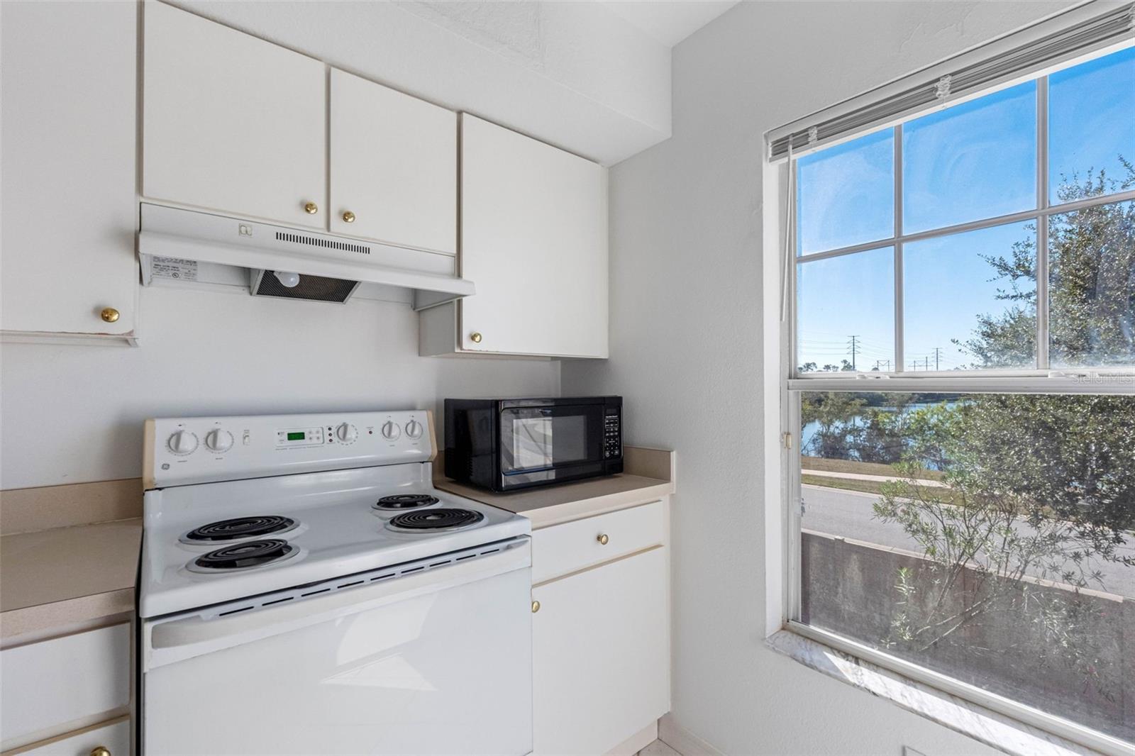 LAKE CHASE CONDO - Residential