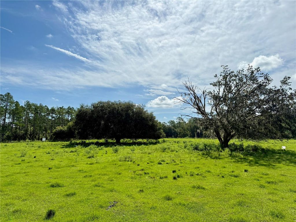 Photo of 10460 Ehren Cutoff, Land O Lakes, FL 34639 (MLS # TB8423493)