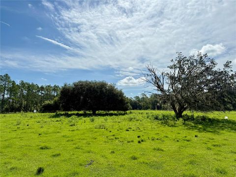10460 EHREN CUTOFF LAND O LAKES FL 34639
