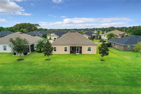 A home in FLAGLER BEACH