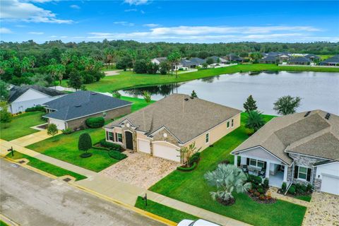 A home in FLAGLER BEACH