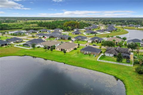 A home in FLAGLER BEACH