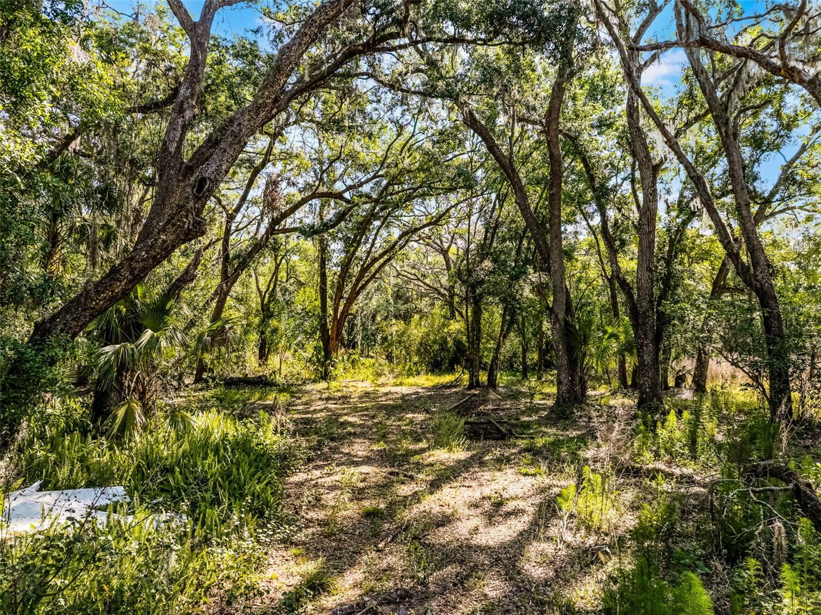 3633 PANTHER PATH ROAD