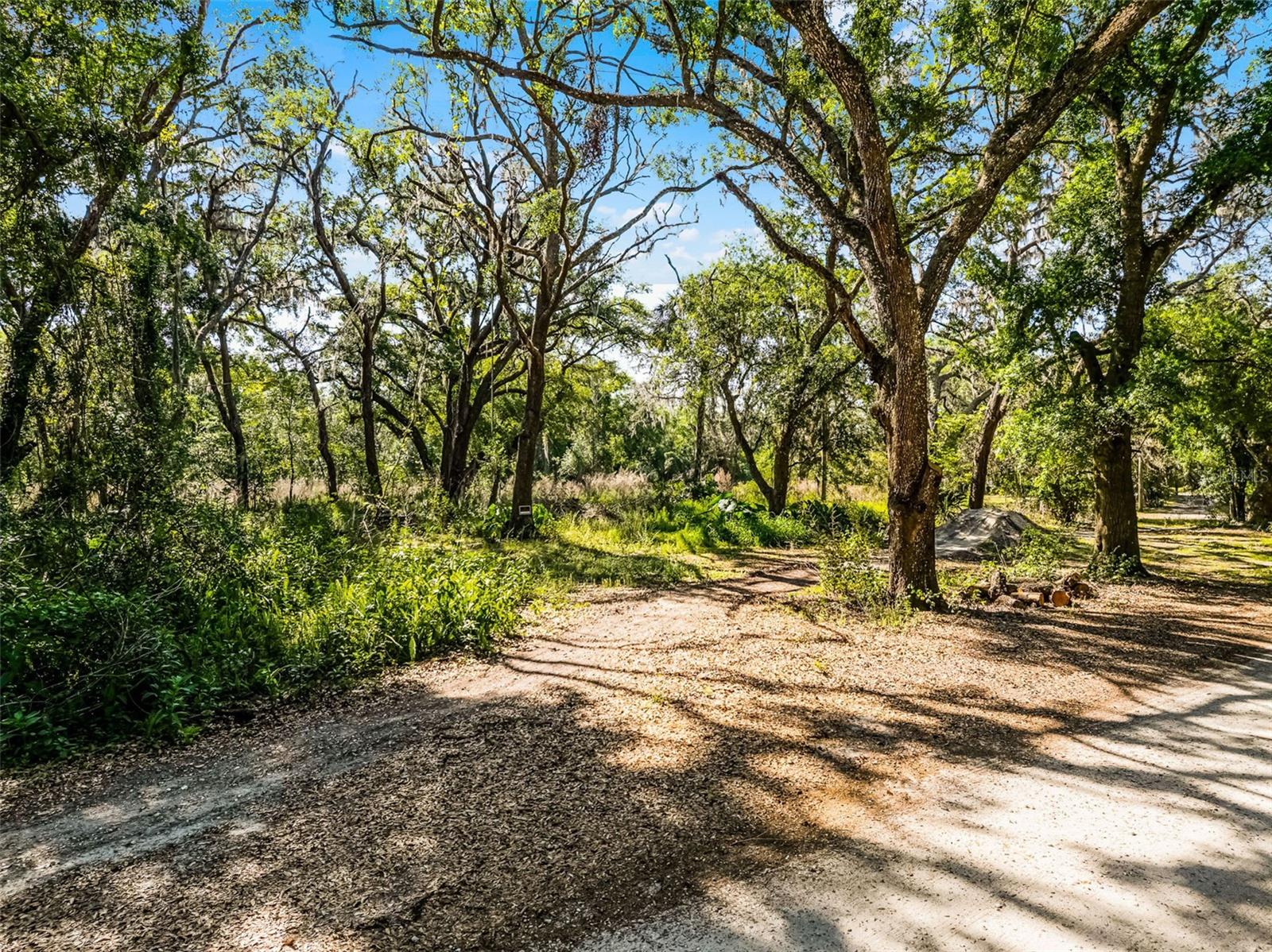 3633 PANTHER PATH ROAD