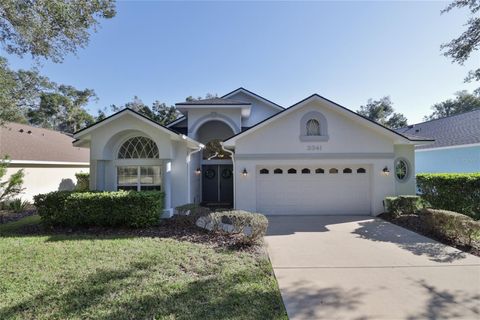 3341 GLENSHANE WAY ORMOND BEACH FL 32174