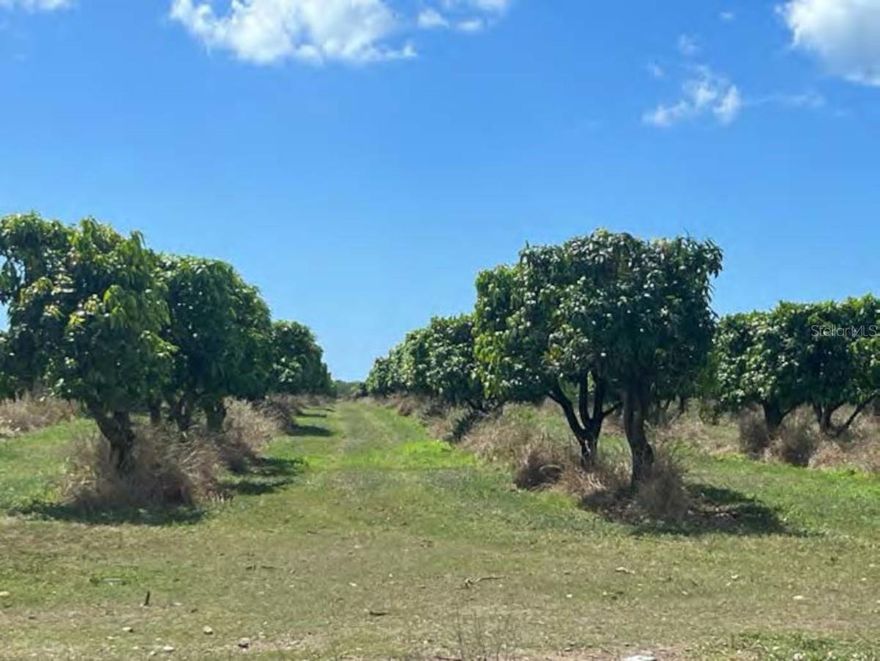 Hacienda Cintrona is a premier agricultural property offering 478.7 cuerdas (˜465 acres) of contiguous farmland with direct frontage on PR-1 in Juana Díaz, Puerto Rico. The land features 9,650 mango trees under production, multiple water wells, and a fully fenced perimeter with cyclone fence and barbed wire. With level topography, excellent drainage, and essential utilities in place, the property is ideally positioned for large-scale farming or long-term land investment. Located minutes from Ponce and just over an hour from San Juan via PR-52, Hacienda Cintrona combines scale, productivity, and accessibility in one of Puerto Rico’s most established agricultural regions.