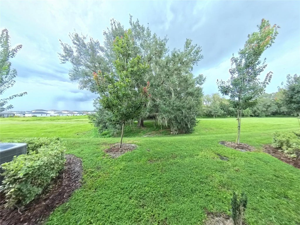 Photo of 14 Trumpet Honeysuckle Way, San Antonio, FL 33576 (MLS # O6451218)