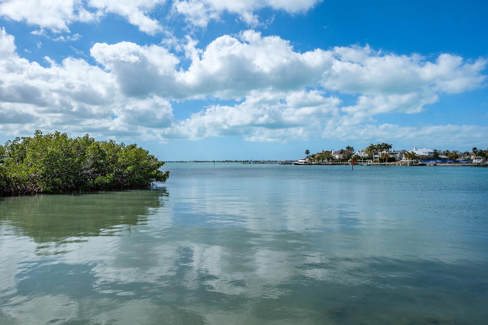 BELLEVIEW BILTMORE VILLAS SOUTH GARDEN - Residential