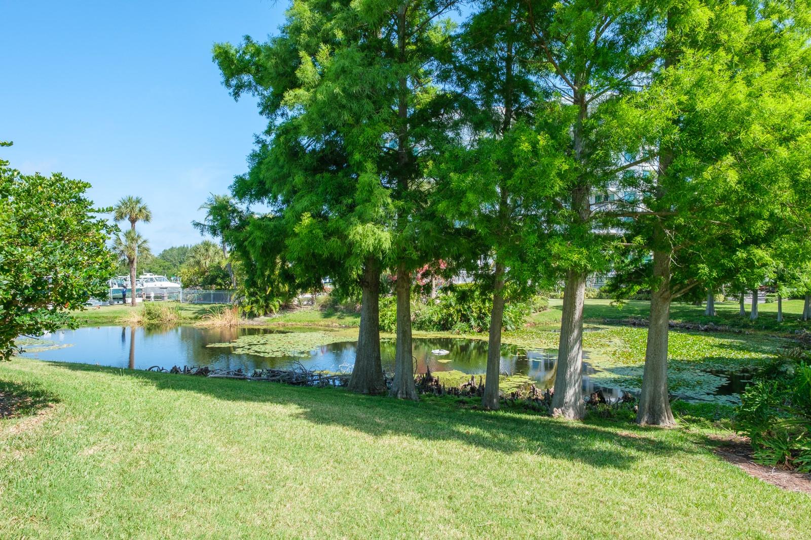 BELLEVIEW BILTMORE VILLAS SOUTH GARDEN - Residential