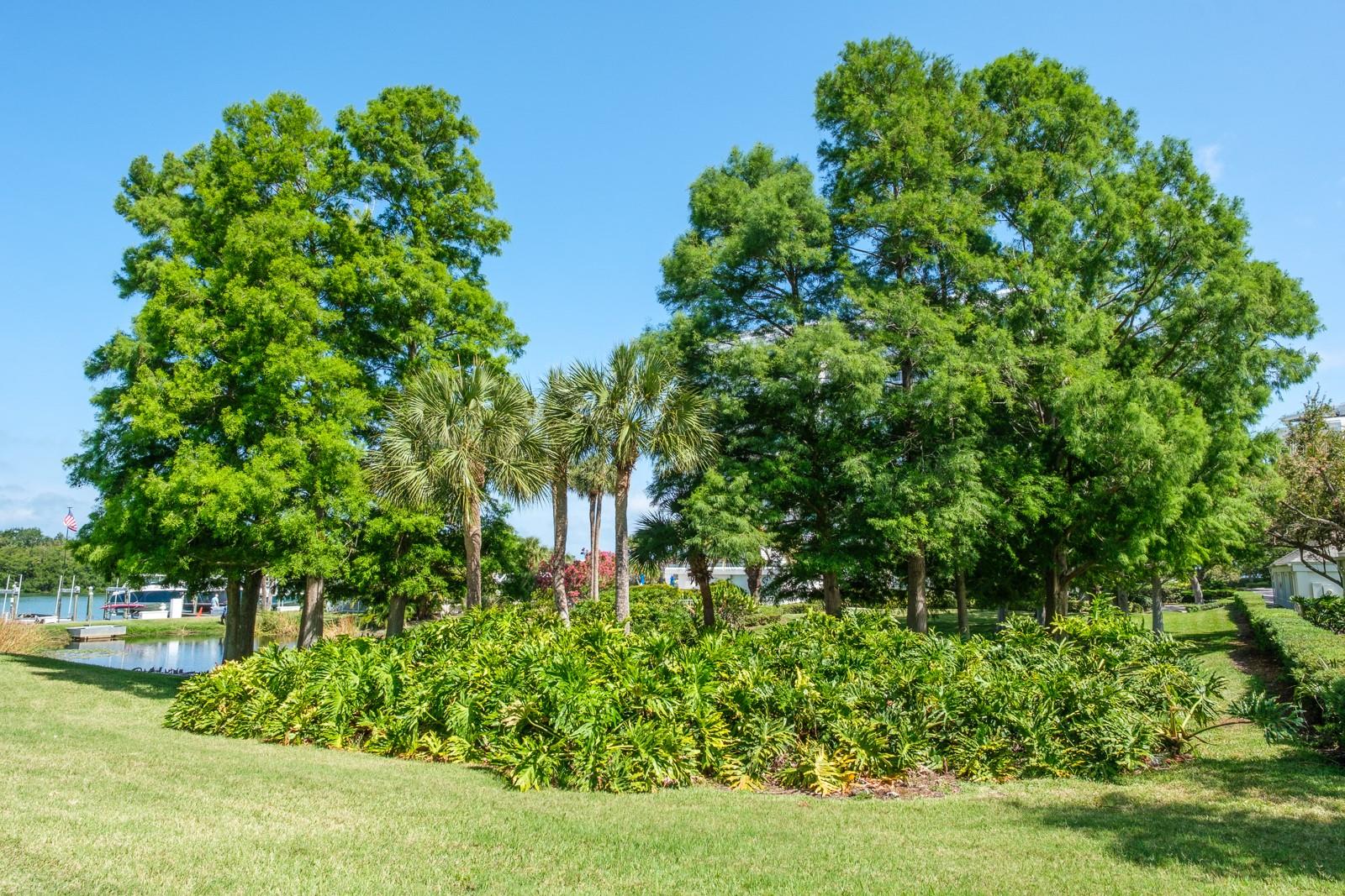 BELLEVIEW BILTMORE VILLAS SOUTH GARDEN - Residential