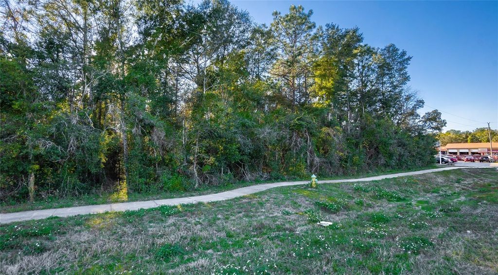Photo of 4164 W Gulf To Lake Highway, Lecanto, FL 34461 (MLS # W7883402)