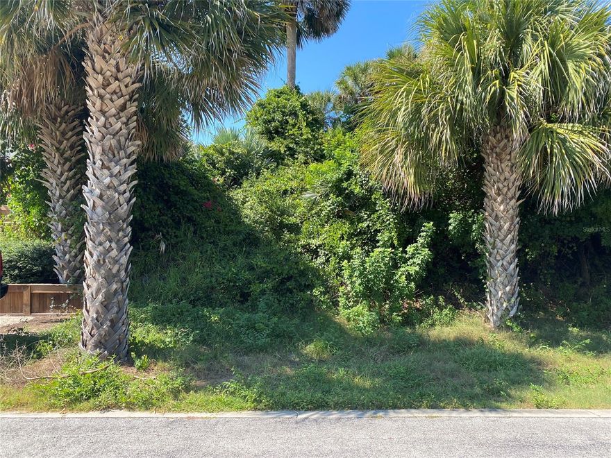 Extremely rare opportunity to build in the coveted NSB north beach area and on Villa Way. This 75' x 115' lushly wooded lot is located among million dollar homes and includes membership with Minorca amenities including private beach access with two walk over ramps, heated pool, clubhouse, state of the art fitness center, tennis courts, community dock, cable TV, etc. In addition to the private beach walk overs, there is a public access point off Ocean drive with sidewalk access from Villa Way. As a property owner in this neighborhood you are also eligible to purchase a dock on the intracoastal (based on availability). Only 1/2 mile to Smyrna Dunes Park, 1.6 miles to Flagler Ave, 3.2 miles to Canal street and just feet away from the beautiful white sandy beach.; Cleared: No