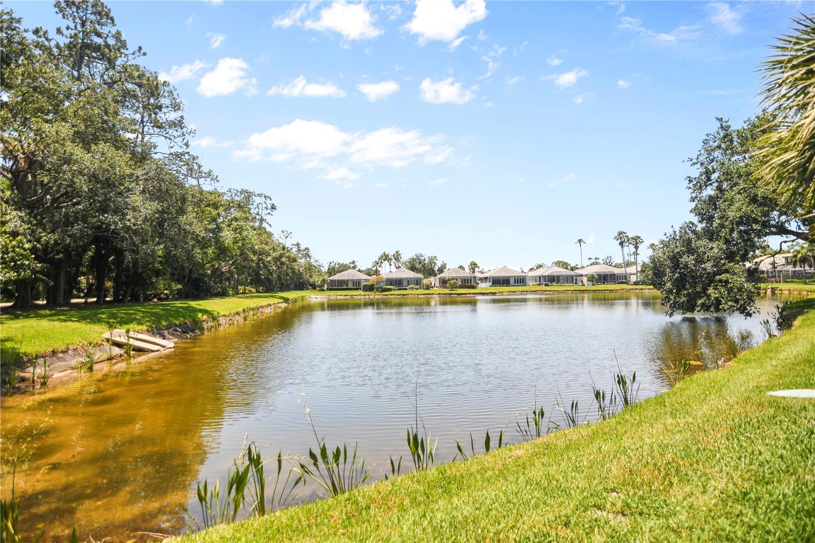 ROSEDALE 8 WESTBURY LAKES - Residential