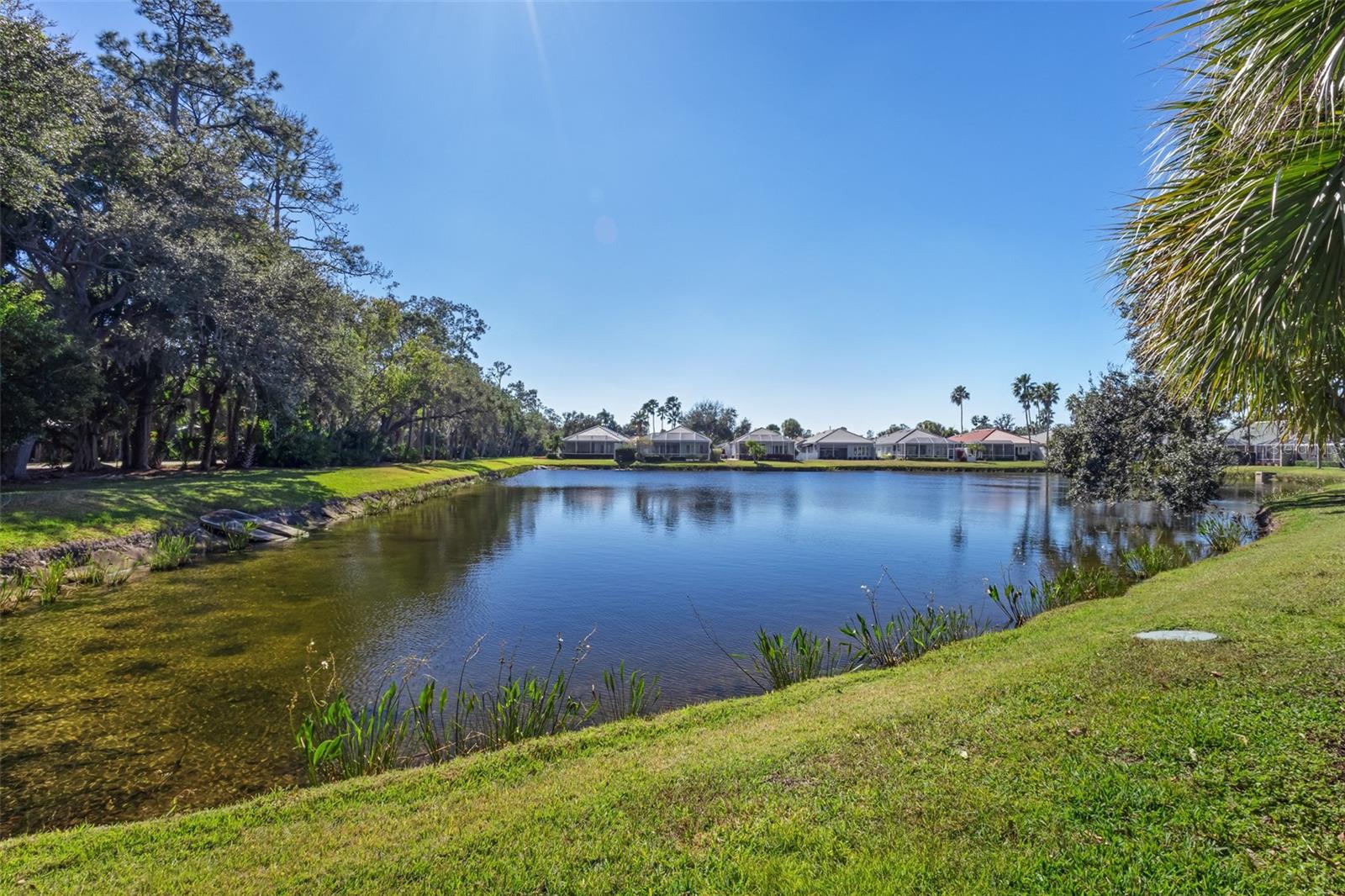 ROSEDALE 8 WESTBURY LAKES - Residential