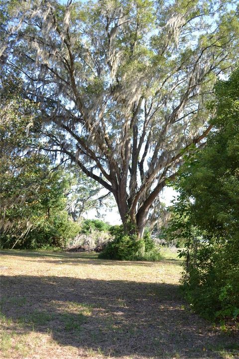 Tiny photo for 1050 E Highway 329, Citra, FL 32113 (MLS # OM702866)