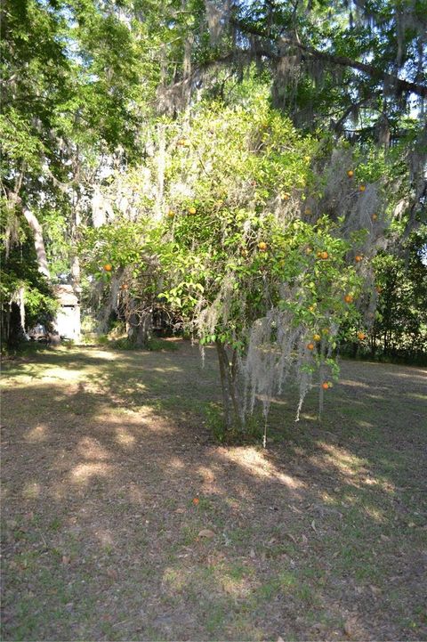 Tiny photo for 1050 E Highway 329, Citra, FL 32113 (MLS # OM702866)