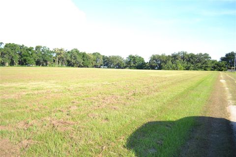 Tiny photo for 1050 E Highway 329, Citra, FL 32113 (MLS # OM702866)