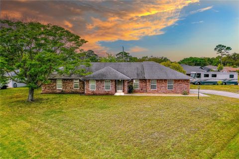 3104 UMBRELLA TREE DRIVE EDGEWATER FL 32141