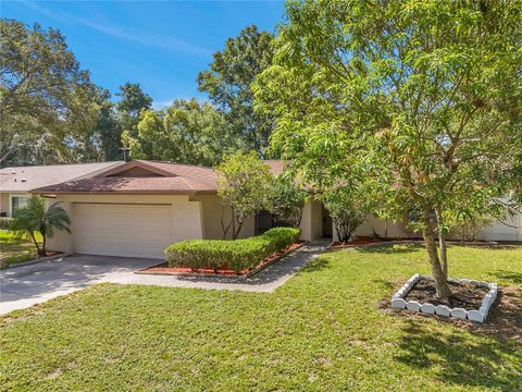 A home in TAMPA