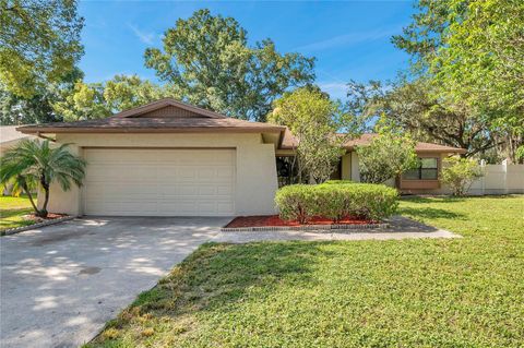 A home in TAMPA