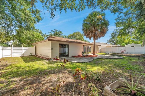 A home in TAMPA