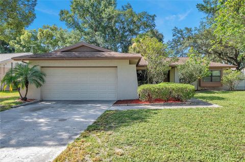 A home in TAMPA