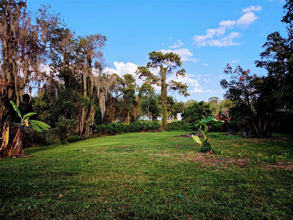 Photo of 613 Carpenter Road, Orlando, FL 32833 (MLS # O6452120)