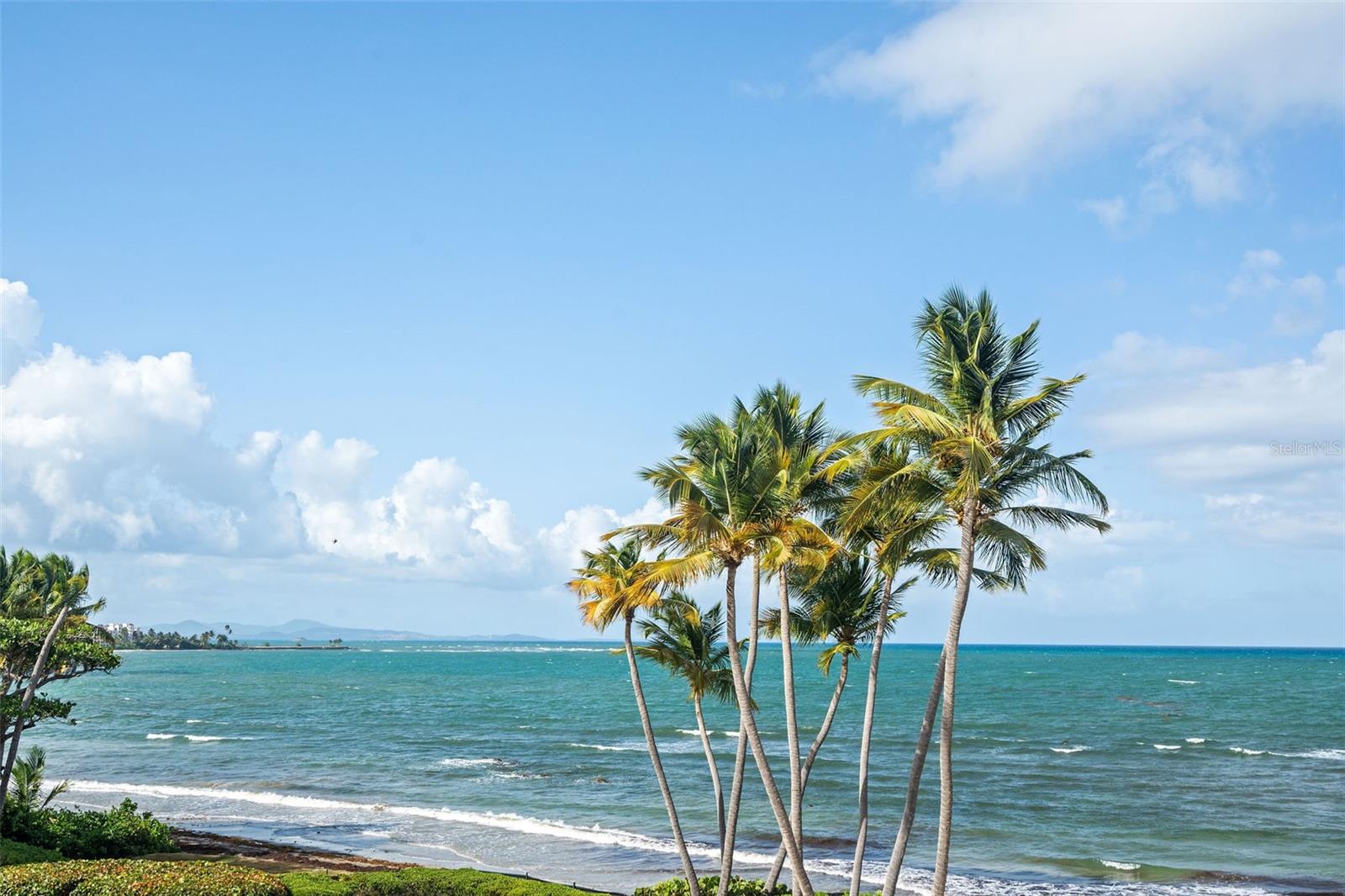 PLAZA DEL MAR - Residential