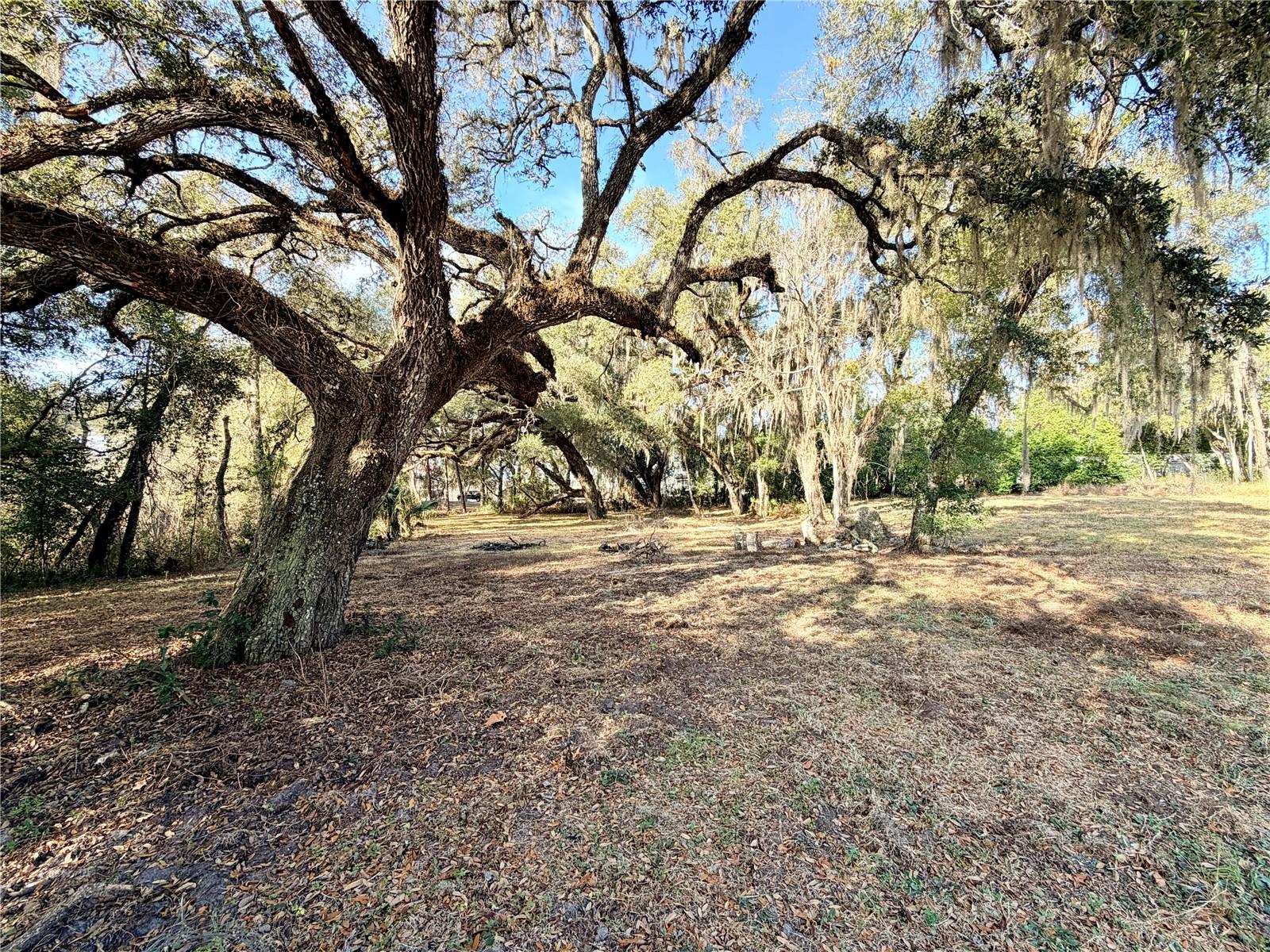 BEACON SQUARE UNREC - Land