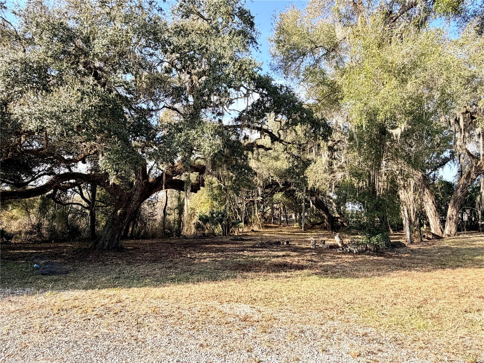 BEACON SQUARE UNREC - Land