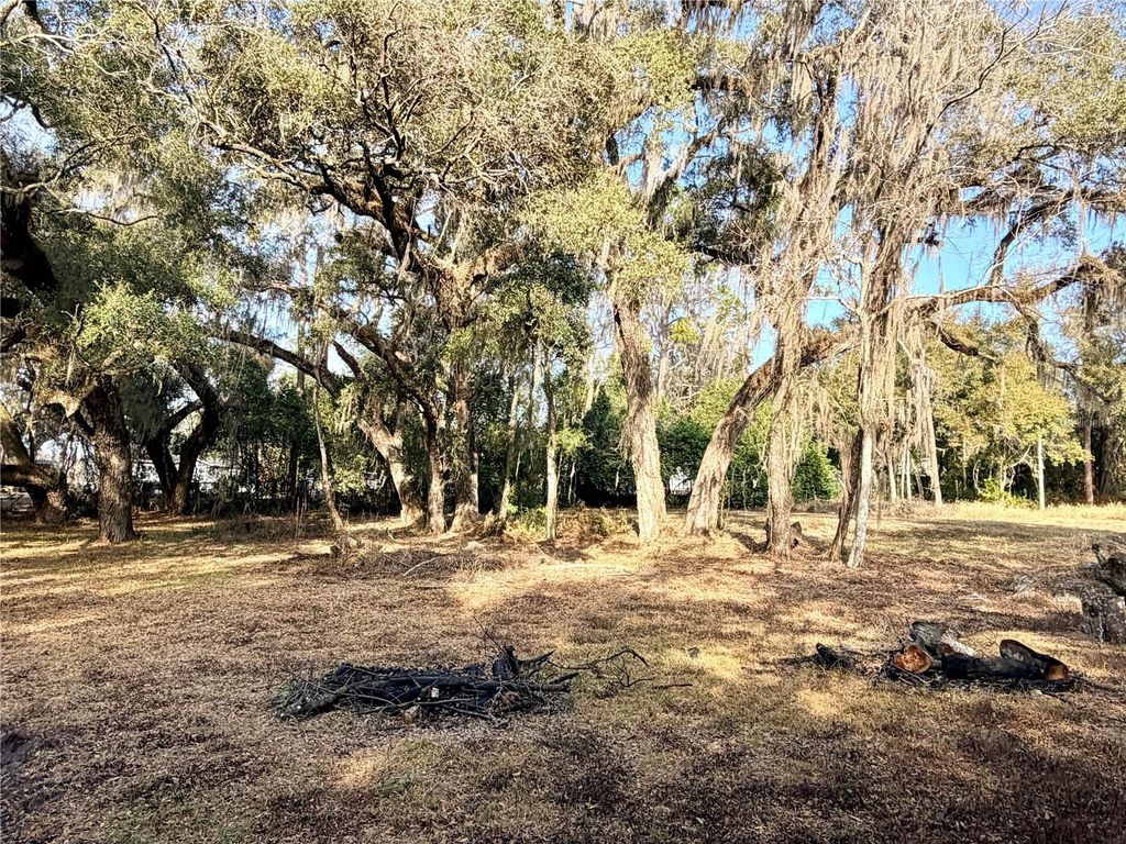 Photo of 5666 S Florida Avenue, Floral City, FL 34436 (MLS # OM718942)